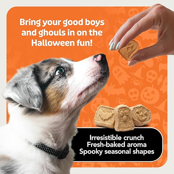 BLUE BUFFALO BOO BARS CRUNCHY DOG BISCUITS, NATURAL HALLOWEEN-SHAPED TREATS, PUMPKIN & CINNAMON RECIPE, 11-OZ BAG