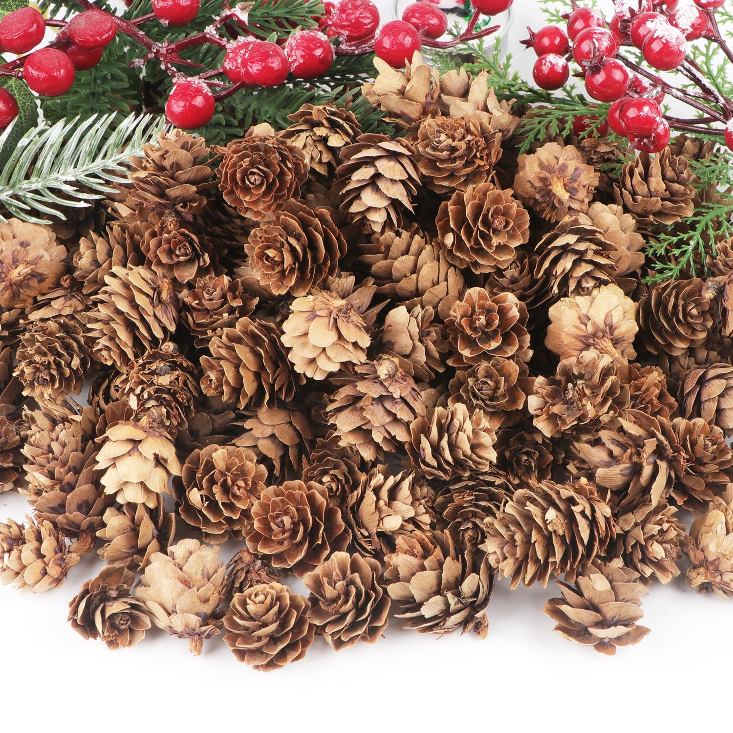 Jangostor 120 PCS Pine Cones Decorations, Natural Pine Cones Bulk - Mini Pine Cones Christmas Pine Cones for Table Christmas Tree Crafts Gifts Thanksgiving Fall and Xmas Home Decor