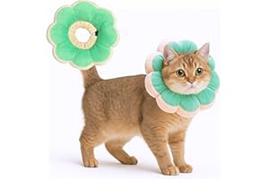 Pawcratean Adjustable Comfy Flower Style Elizabeth Collar for Cats Puppies Soft Recovery Cone Pet Protective Neck Collar (Green, Medium)