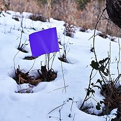 Purple Marking Flags for Yard - 4x5x15 Inch Purple