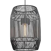 Golden Lighting Seabrooke 1-Light Outdoor Pendant in Natural Black and Black Composite Wicker