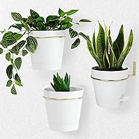 Bouqlife Wall Planters for Indoor Plants 3 Pack 6 Inch Flower Pot Holders Metal Ring with Self Watering Pots Wall Hanging Pla
