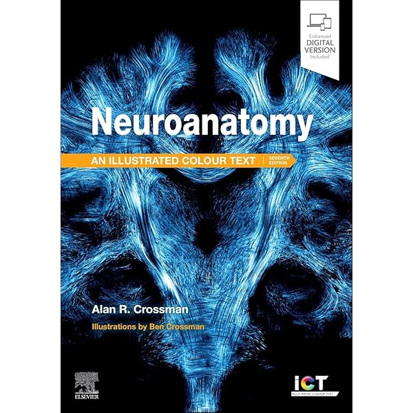 Neuroanatomy: an Illustrated Colour Text: 9780702074622