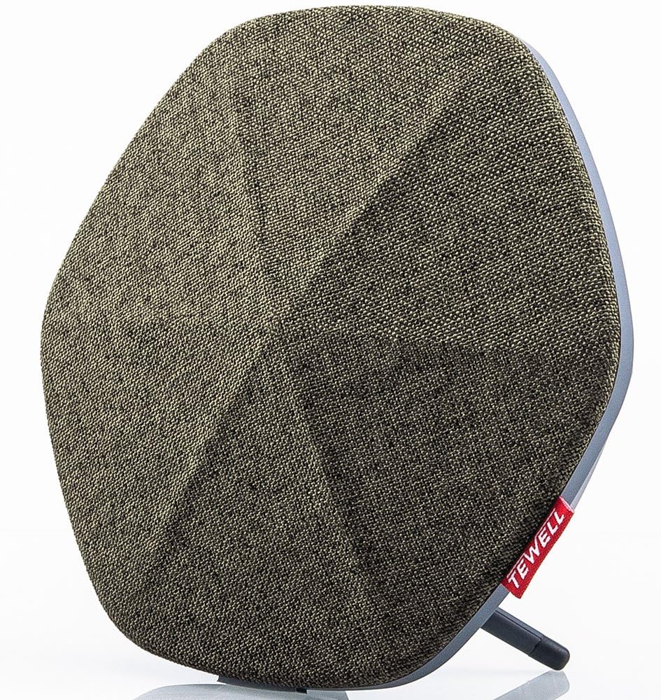 TEWELL Home Audio (B02-TL)