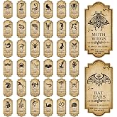 DIYASY Apothecary Bottle Labels, 144Pcs Halloween Potion Bottles Décor Creepy Poison Stickers for Jars Party Supplies Witchy Gothic Voodoo Decorations Vintage Laminated Sticker