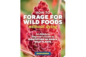 How to Forage for Wild Foods without Dying: An Absolute Beginner's Guide to Identifying 40 Edible Wild Plants