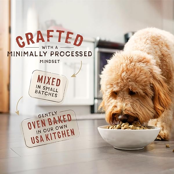 STELLA & CHEWY’S SUPERBLENDS RAW COATED WHOLESOME GRAINS PUPPY CAGE-FREE CHICKEN & WILD-CAUGHT SALMON RECIPE WITH SUPERFOODS, 3.5 LB. BAG