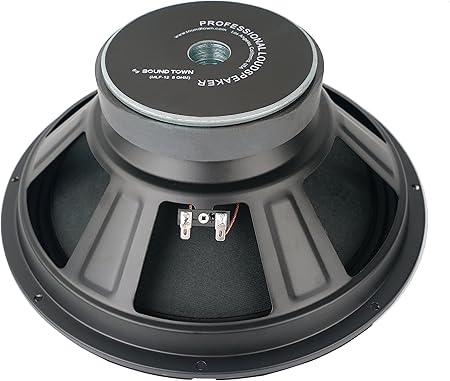 speaker 250 watt price