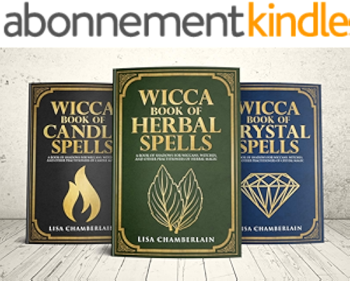 Download Wicca Spellbook Starter Kit: A Book of Candle, Crystal, and Herbal Spells (English Edition) PDF