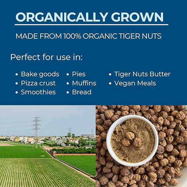 SLICED TIGER NUTS KILO BOXES (2.2 LBS) GLUTEN AND NUT FREE, ORGANIC, HIGH FIBER AND NUTRITION, LOW IN FATS, NON ALLERGENIC, AIP, PALEO