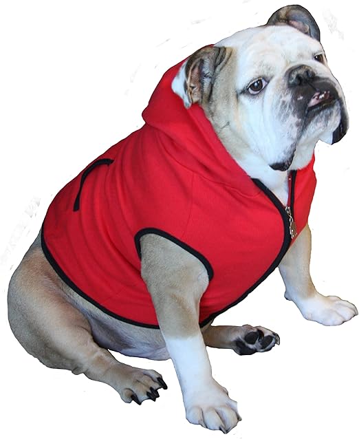 amazon dog sweatshirt