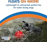 Company of Animals Boomer Ball 10 inch Tough Dog Toy Floats Assorted view 4
