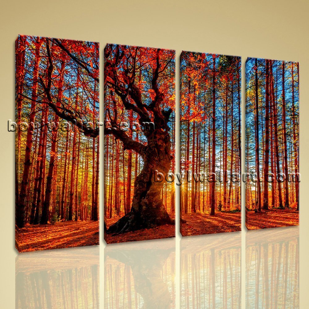 Large Forest Trees Landscape Photography Wall Art HD Giclee