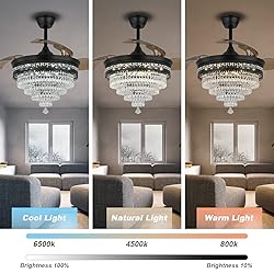 diisunbihuo 42" Black Fandelier with Light Modern
