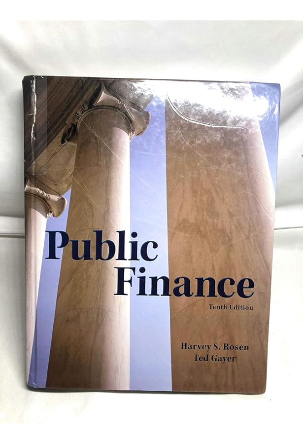 Public Finance and Public Policy: Gruber, Jonathan: 9781464143335