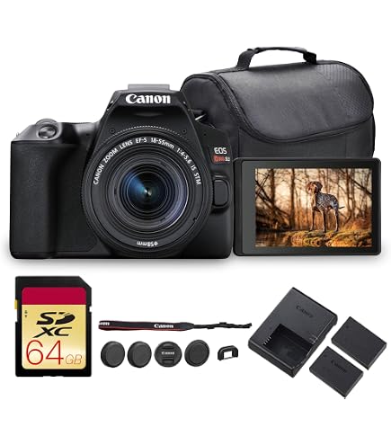 Amazon.com : Canon EOS Rebel SL3 DSLR Camera with 18-55mm Lens