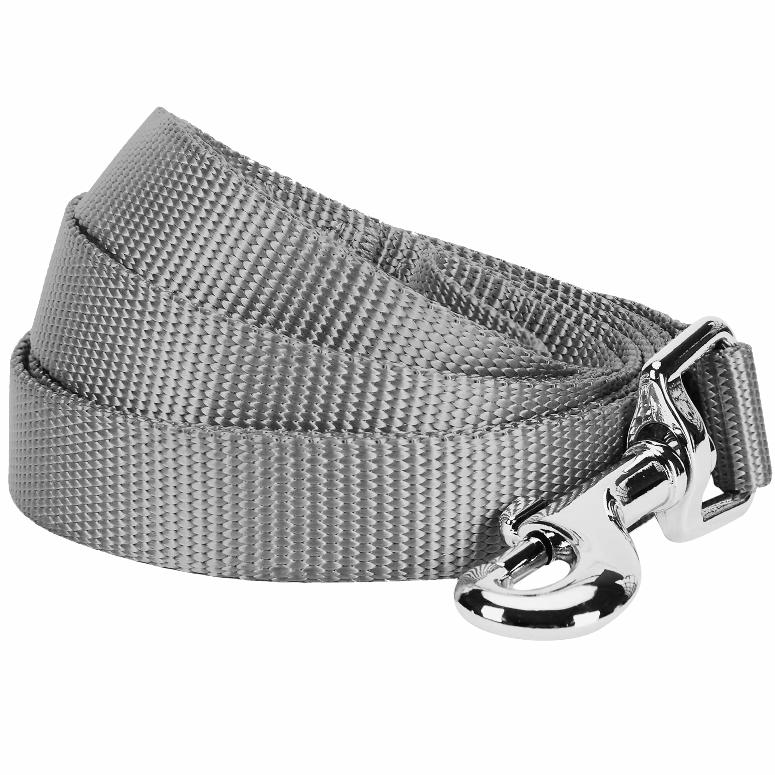 Blueberry Pet Durable Classic Solid Color Dog Lead 150 cm x 2cm in Flint Gray, Medium, Basic Nylon Leads for Dogs, Matching Collar & Harness Available Separately