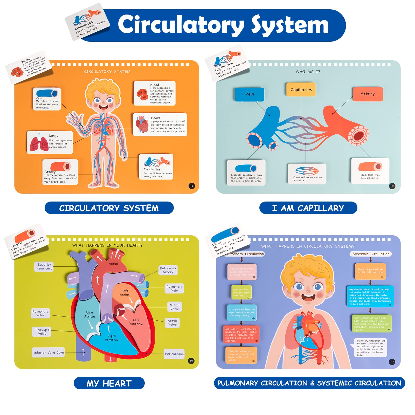Mua Freebear Montessori Busy Book for Kids, Human Body Anatomy Book for ...