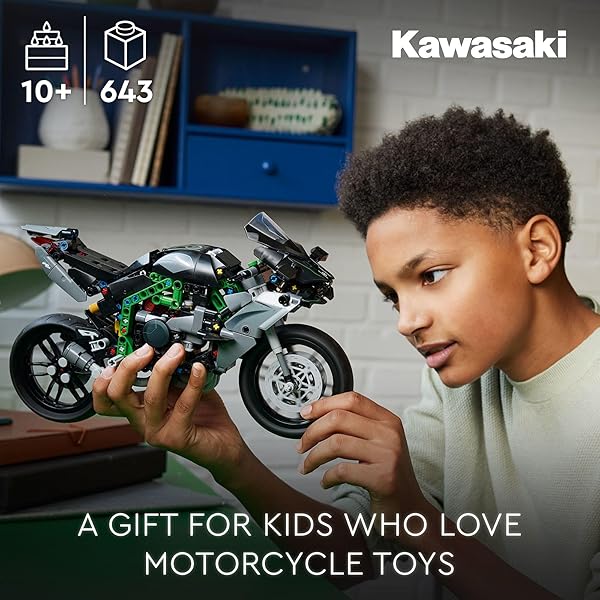 LEGO TECHNIC KAWASAKI NINJA H2R MOTORCYCLE TOY – BUILDING TOYS FOR KIDS, BOYS & GIRLS, AGES 10+ – KICKSTAND FOR DISPLAY – MODEL KIT BIRTHDAY GIFT – 42170