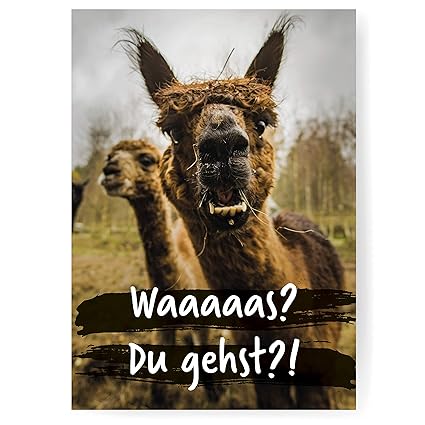 Lustige Abschiedskarte Im Din A4 Format Mit Umschlag Alpaka Xxl Klappkarte Mit Viel Platz Für Kollegen Zur Rente Zum Jobwechsel Oder Zum