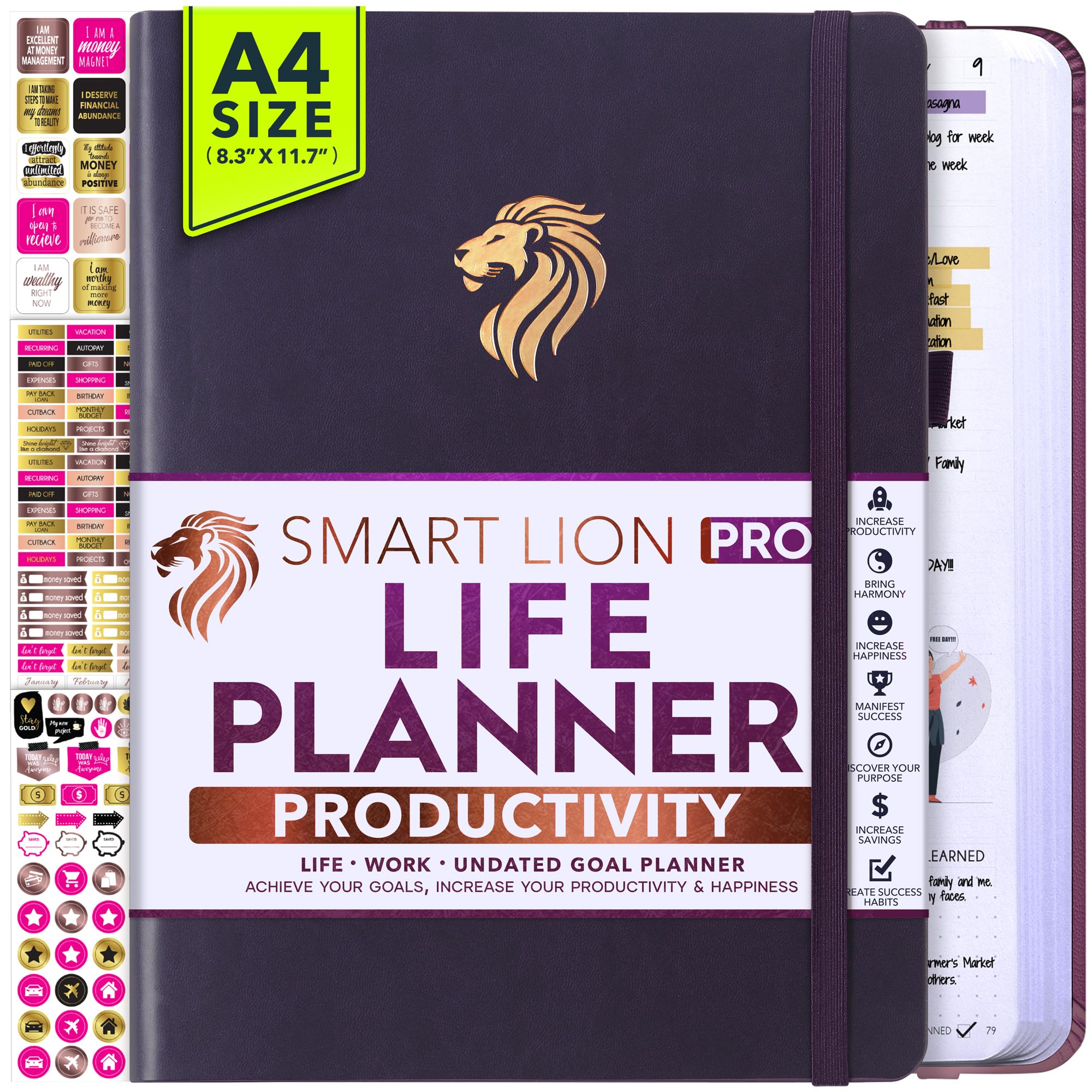 Life & Work Planner - 12 Month Goal