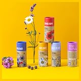Seedball Wildflower Seed Bombs Set of 5 Tubes Bee Friendly Seeds view 7