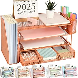 gianotter Paper Letter Tray Organizer with File