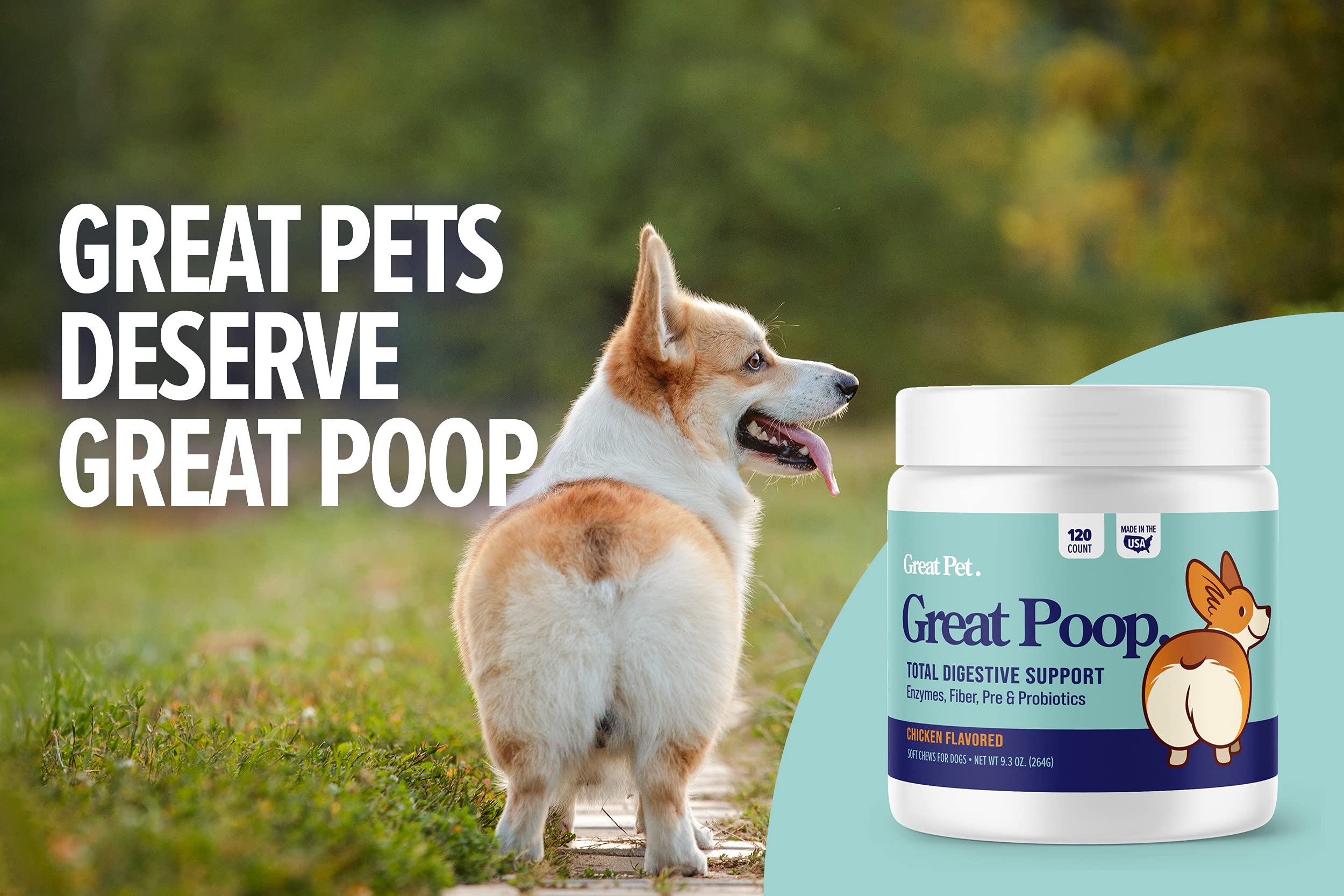 Mua Great Poop Probiotics for Dogs - Fiber for Dogs Supplement with Dog ...