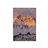 3dRose Garden Flag, White