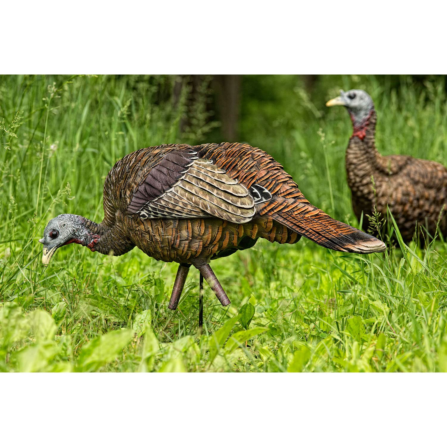 AVIANX LCD Feeder Hen Turkey Decoy Durable Realistic Lifelike