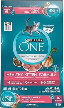 best raw cat food delivery