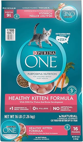 best natural food for kittens