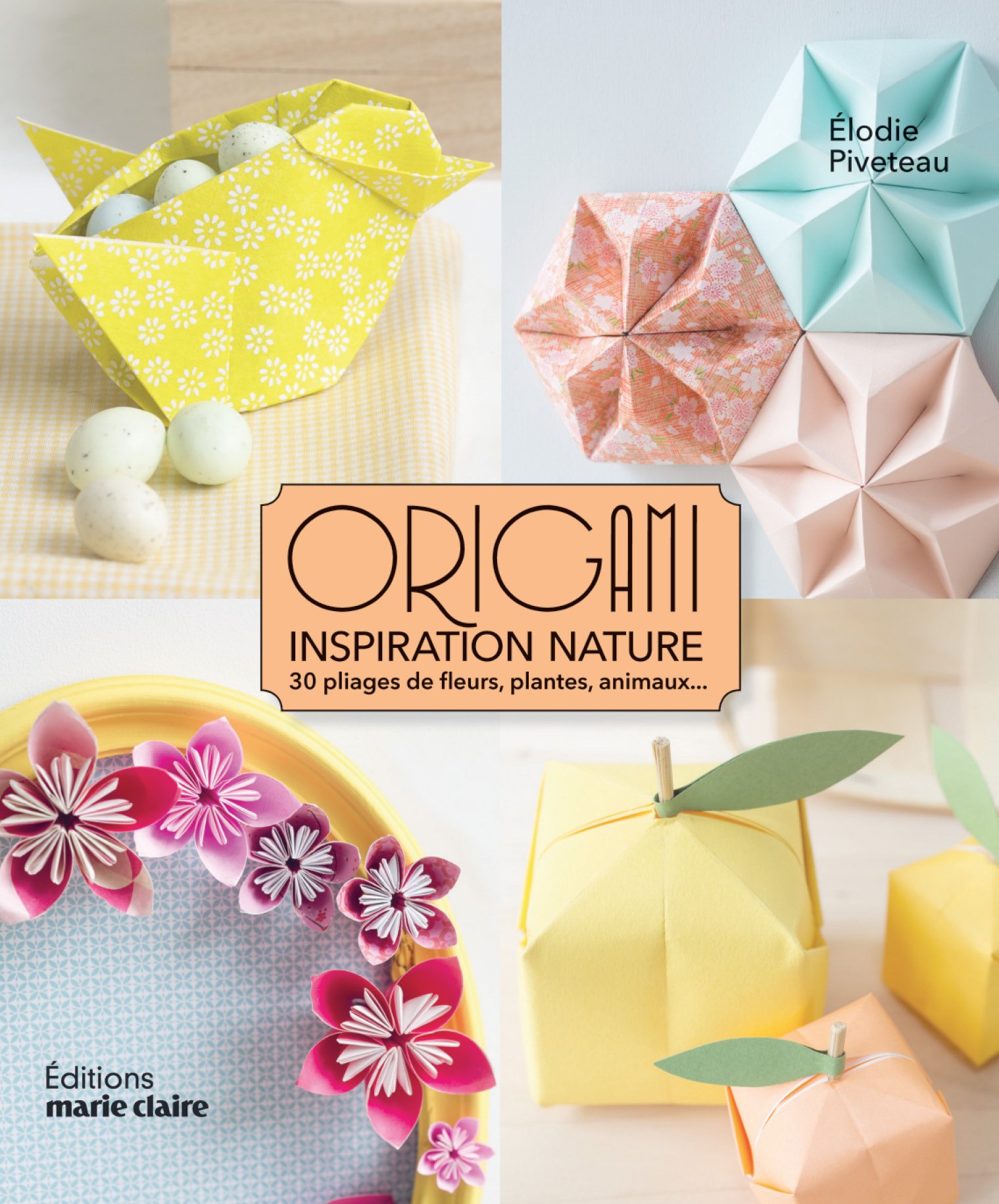 Origami Inspiration Nature 30 Pliages De Fleurs Plantes