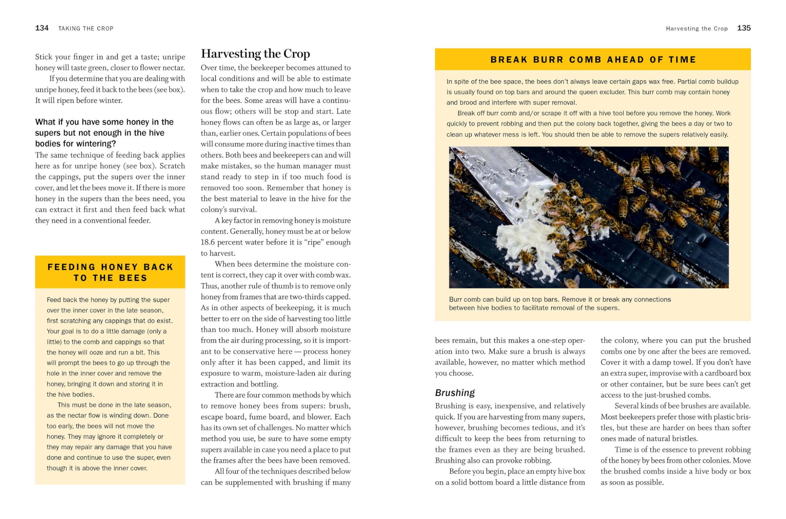 Storey's Guide to Keeping Honey Bees, 2nd Edition: Honey Production, Pollination, Health (Storey’s Guide to Raising)