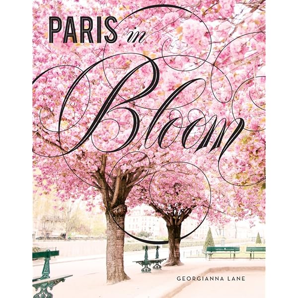 Paris in Color: (Coffee Table Books About Paris, Travel Books