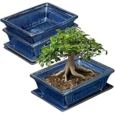 Villa Como Set of 2 Bonsai Pots with Drainage Tray, 7.5" Bonsai Planters | Blue Glazed Ceramic Bonsai Tree Pots, Shallow Rectangle Bonsai Pot for Indoor Outdoor Plants, Succulents, Cactus, Flowers