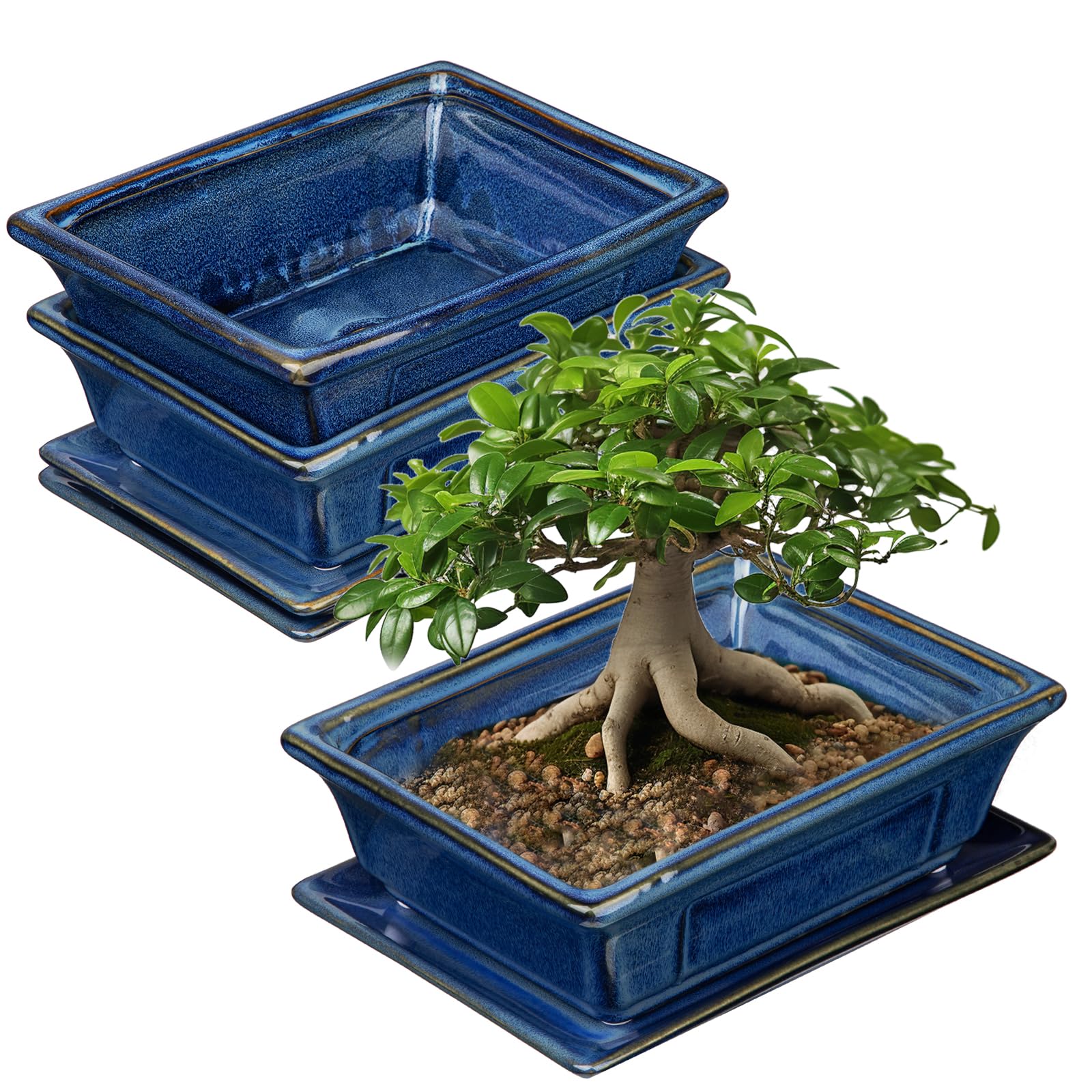 Oairse Set of 2 Bonsai Pots Shallow Succulent Planters for Live Bonsai Trees, 19cm/7.5" Ceramic Plant Pot for Indoor/Outdoor Succulents, Cactus with Drainage Hole and Saucers, Blue Flower Pot