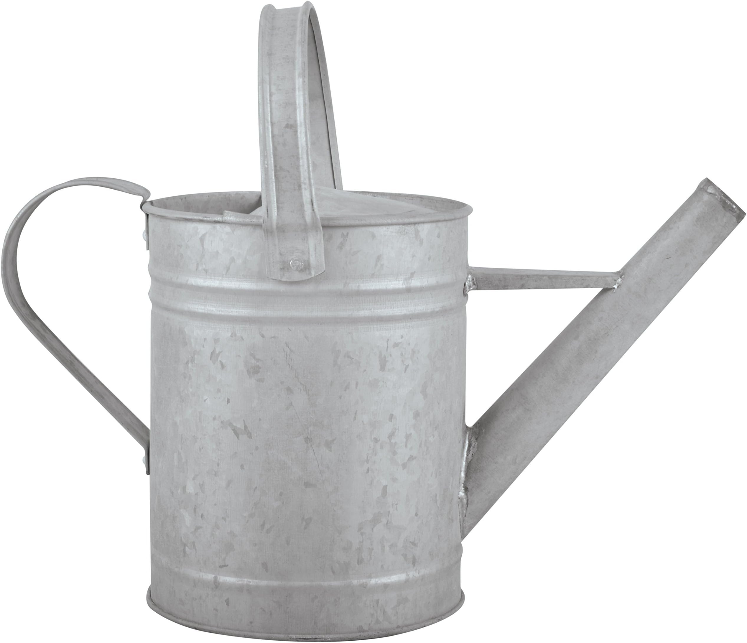 Fallen Fruits OZ43 Altzink Gießkanne 1,5 Liter Watering Can, Grey (zinc), S