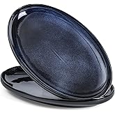vicrays Serving Platter Ceramic Tray Plates Extra Large Oval 14.5 Inch Porcelain Dinner Plates Long Serving Dish Set Entertai