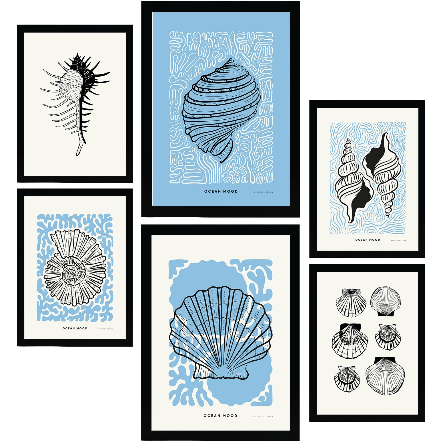 Nacnic Set of 6 Thick Black Ink Posters. Round Shells. Artistic Marine Aesthetic Wall Art Prints for Interior Design and Decoration. Sizes A3 & A4. Unframed.