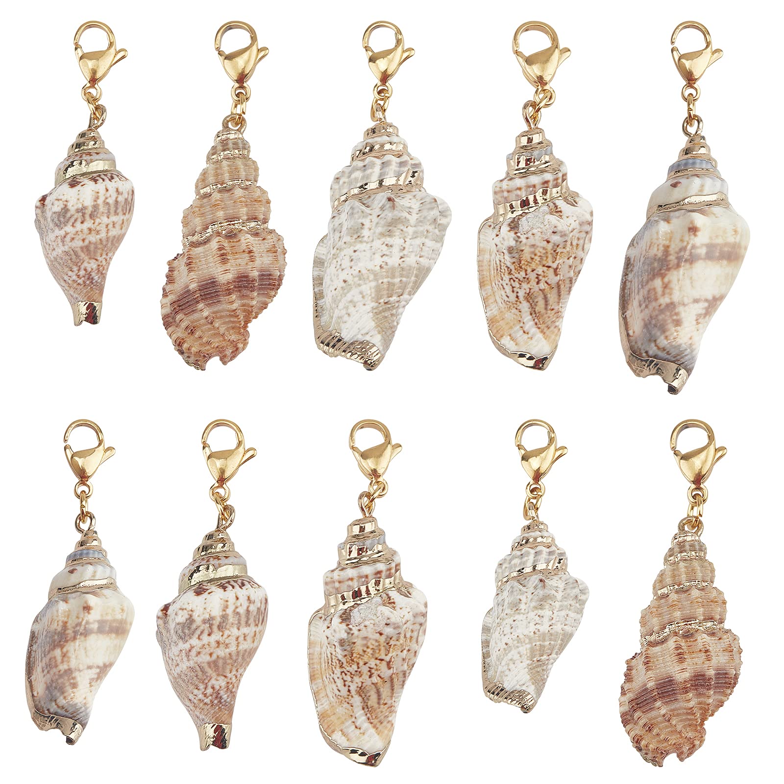 SUNNYCLUE 10Pcs Seashell Charms Oval Ocean Beach Spiral Natural Cowrie Conch Shells Pendants with Lobster Claw Clasps for Jewelry Making DIY Necklace Bracelet Earring Supplies Accessories