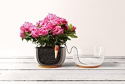 Blumat Classic Plant Watering Stakes