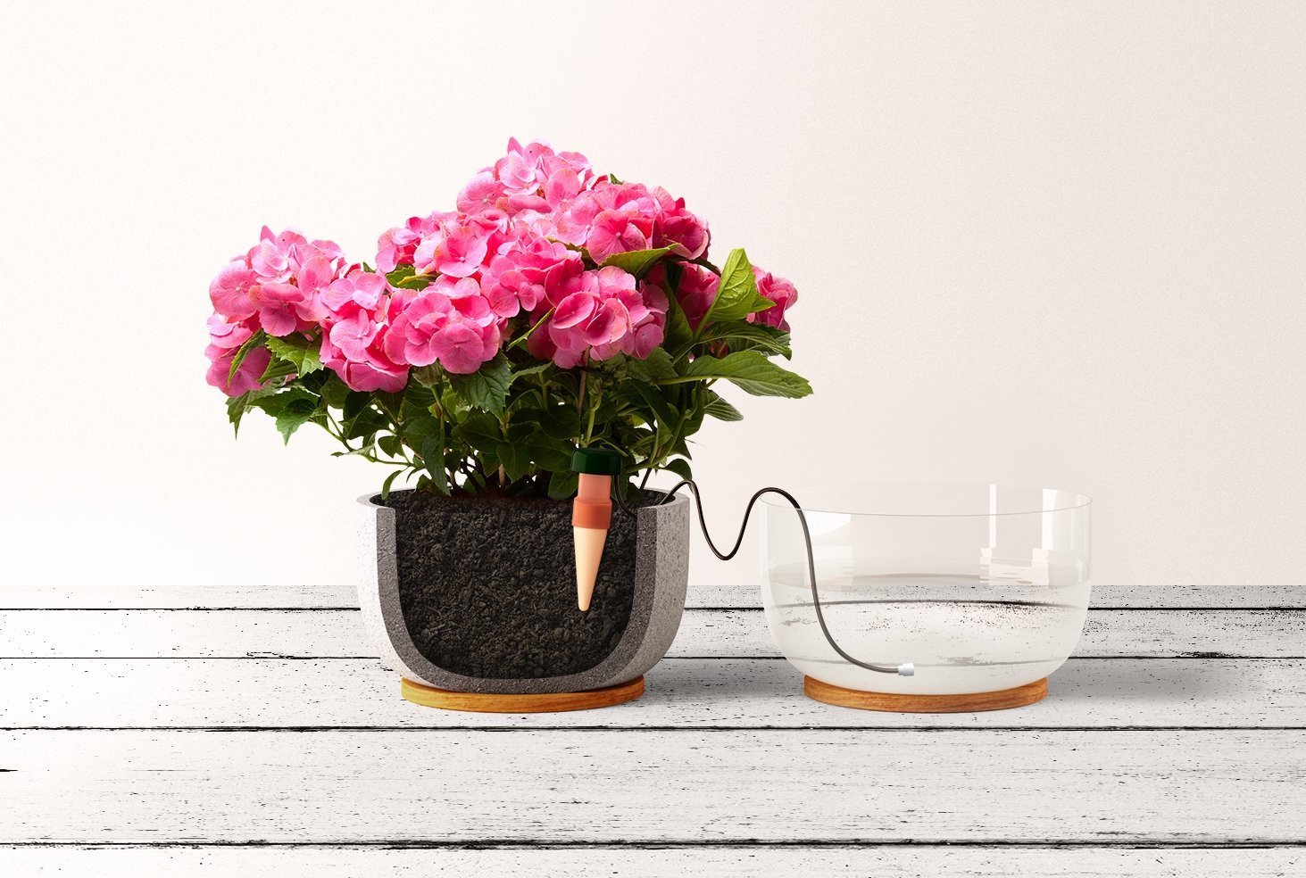 Blumat Watering Stakes 10 Plant Self Watering System Made in