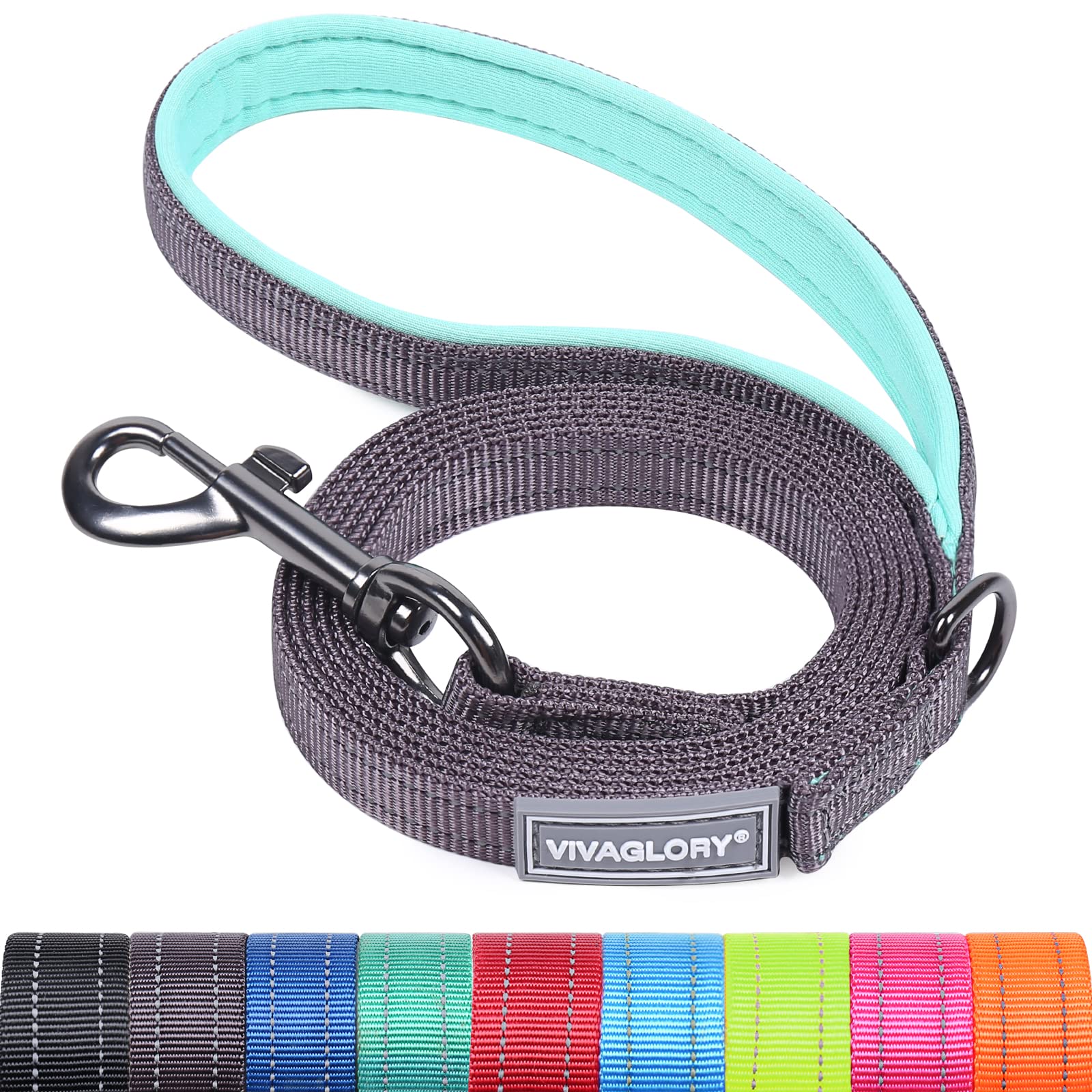 VIVAGLORY Dog Lead Dailyx Dog Leash, Lead with Soft Padded Handle for Training & Walking, Heavy Duty & Double Layer Nylon for Pet Puppy, 180 x 1.4cm, Grey