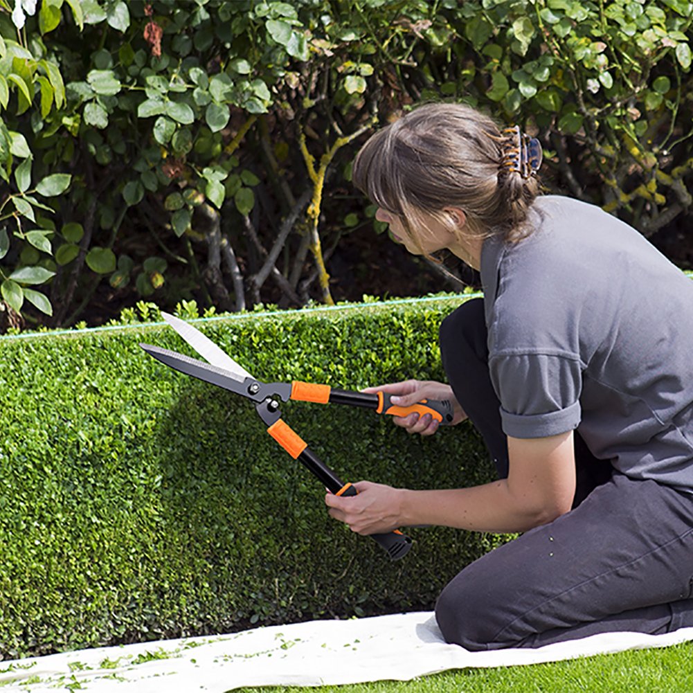 Everything You Need to Know About The Best Hedge Shears of 2018