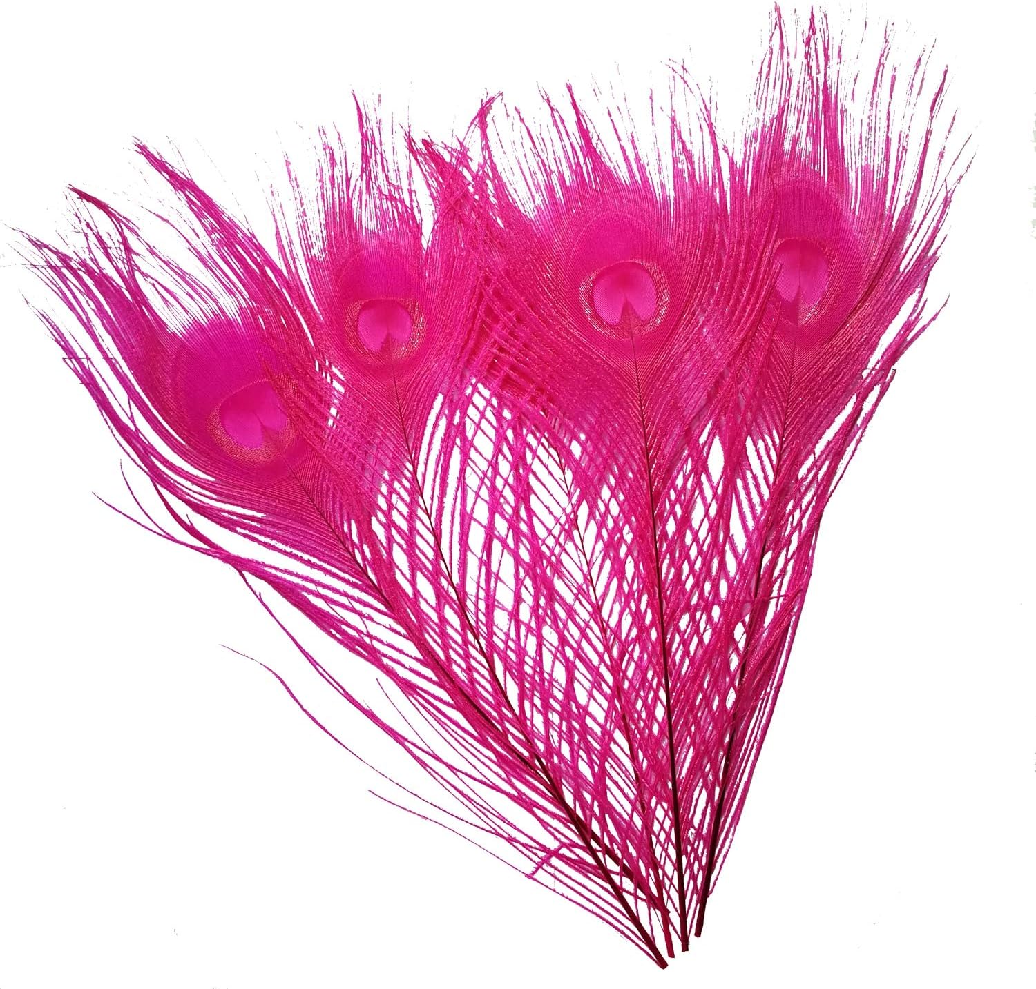 Amazon Com 20pcs Peacock Tail Feathers Bleached Dyeing Peacock