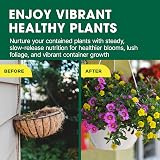Doff Drip Feeders 10 Pack for Hanging Baskets & Tubs view 6