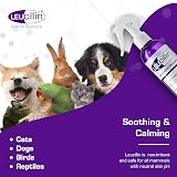 Leucillin Natural Antiseptic Spray 150ml for Pets Dogs Cats All Animals view 5