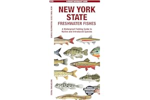 New York State Freshwater Fishes