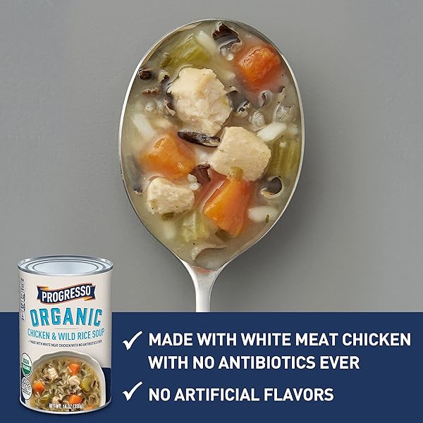 PROGRESSO ORGANIC CHICKEN & WILD RICE CANNED SOUP, 14 OZ.